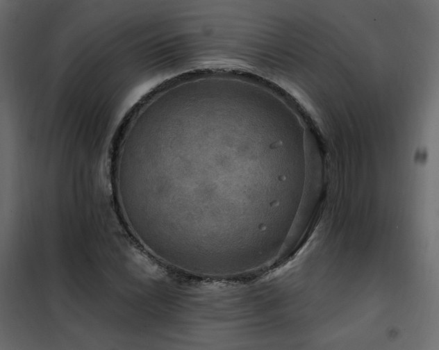X0000102491022200808081323