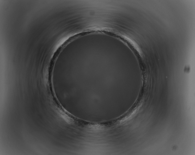X0000102491023200808081323