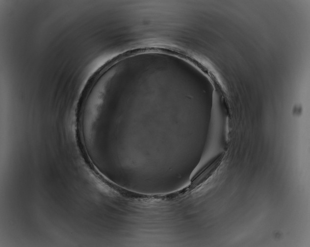 X0000102491024200808081323