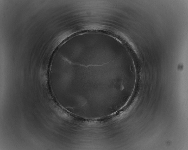 X0000102491025200808081323