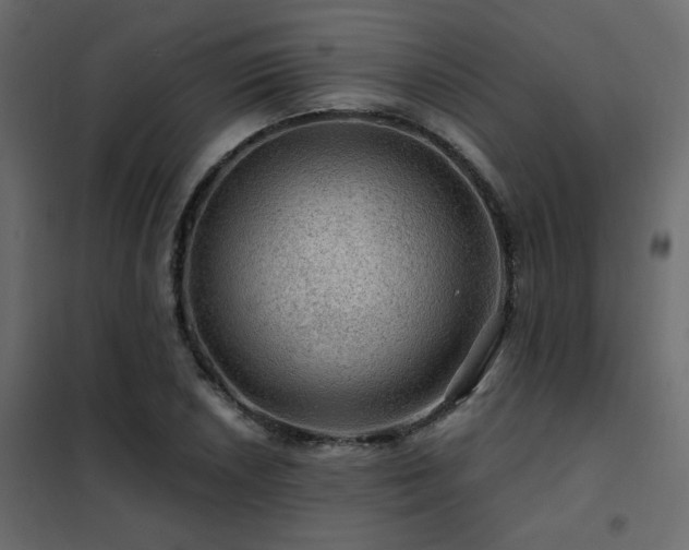X0000102491026200808081323