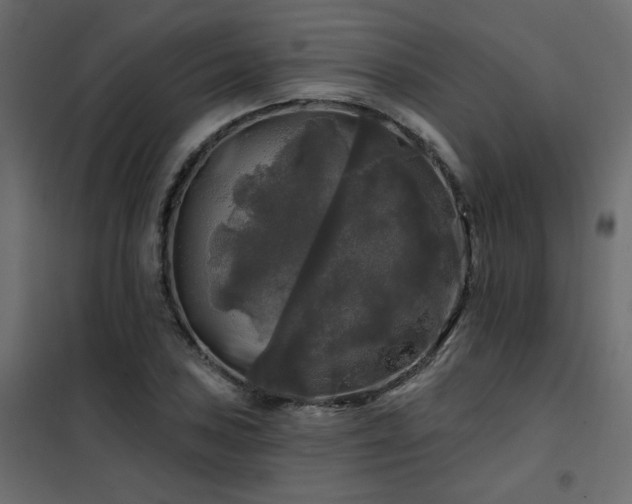 X0000102491027200808081324