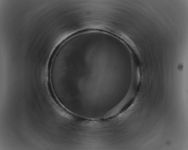 X0000102491028200808081324