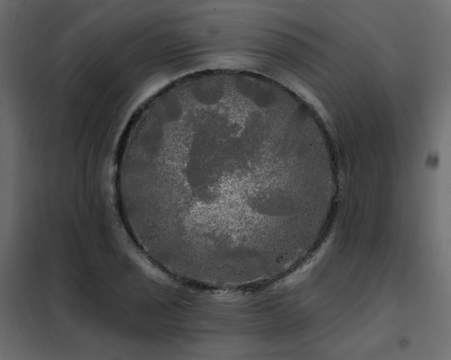 X0000102491029200808081324