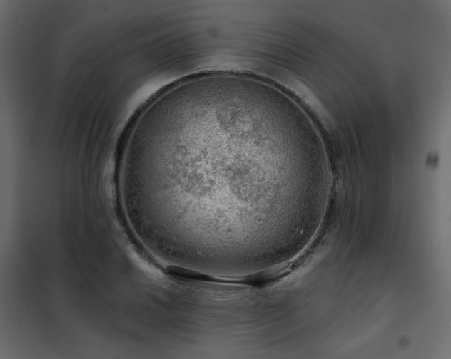 X0000102491030200808081324