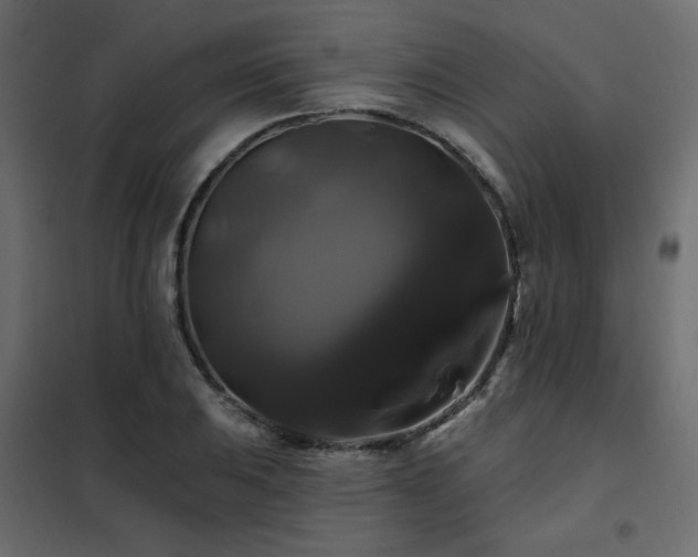 X0000102491031200808081324
