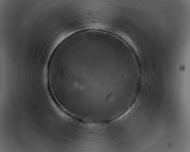 X0000102491032200808081324