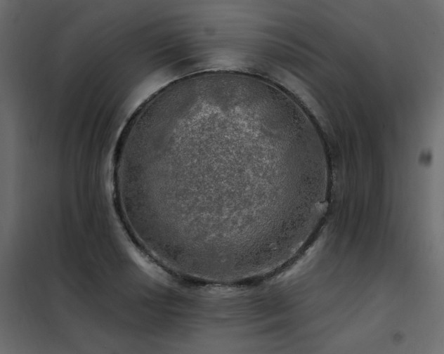 X0000102491034200808081324