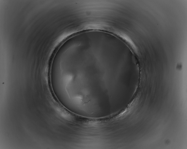 X0000102491035200808081324