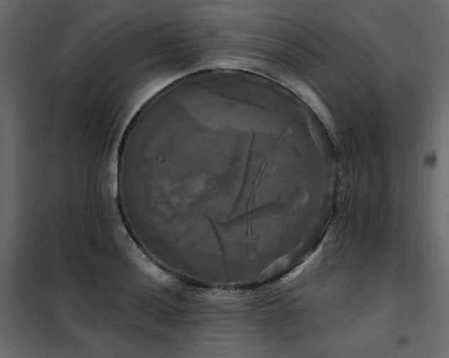 X0000102491036200808081324