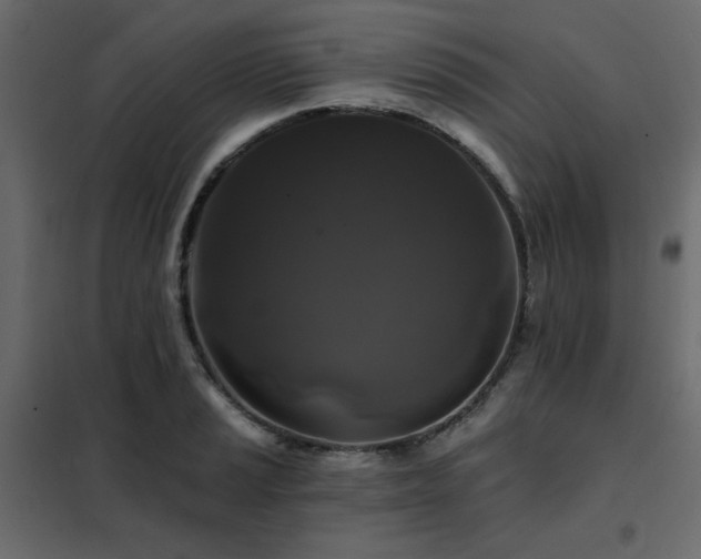 X0000102491037200808081324
