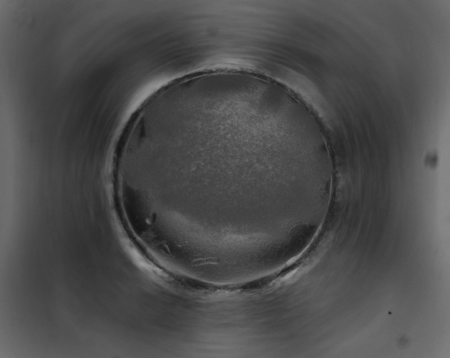 X0000102491038200808081324