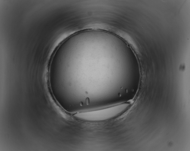X0000102491040200808081324