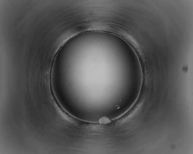 X0000102491041200808081324