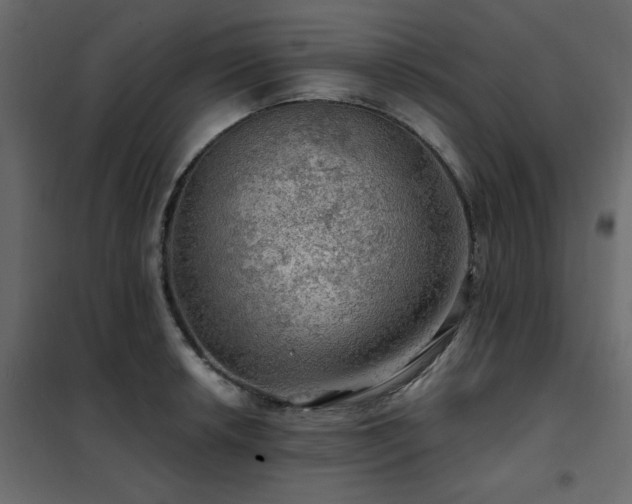 X0000102491042200808081324