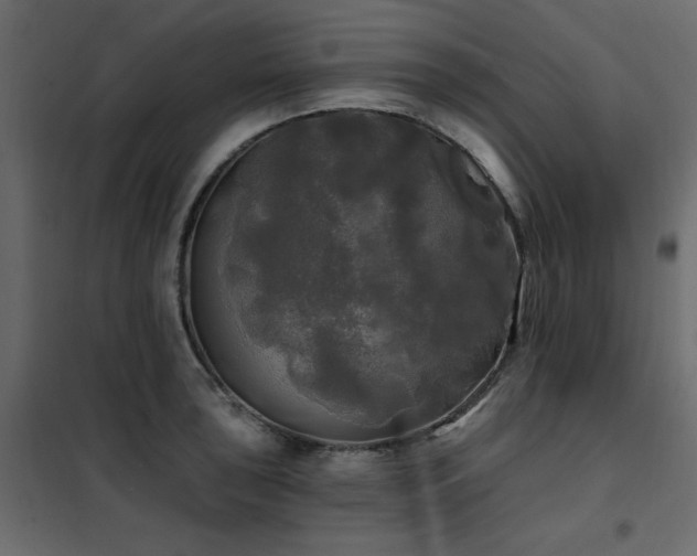 X0000102491043200808081324