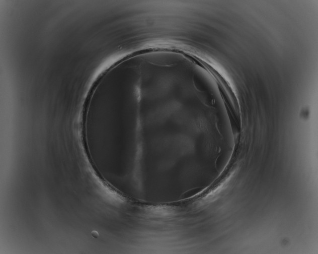 X0000102491045200808081324