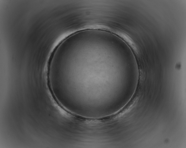 X0000102491046200808081324