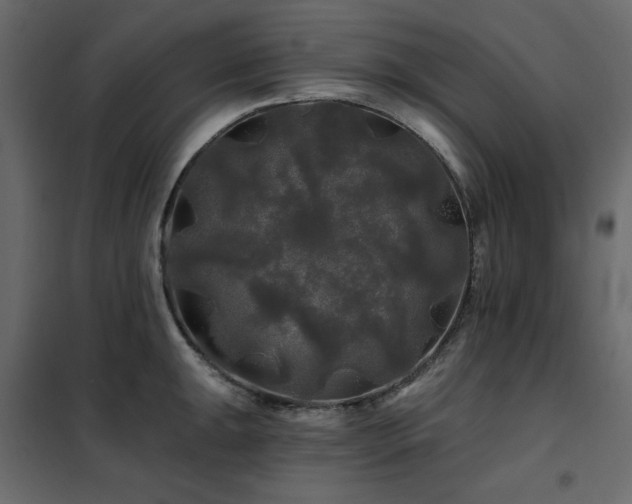 X0000102491047200808081324