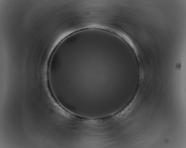X0000102491048200808081324