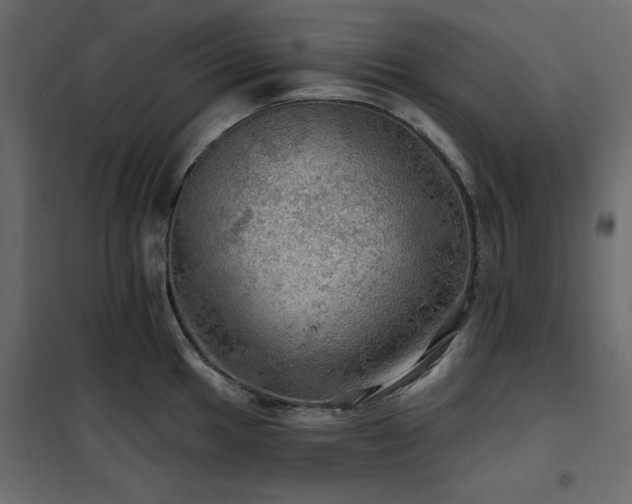 X0000102491049200808081324