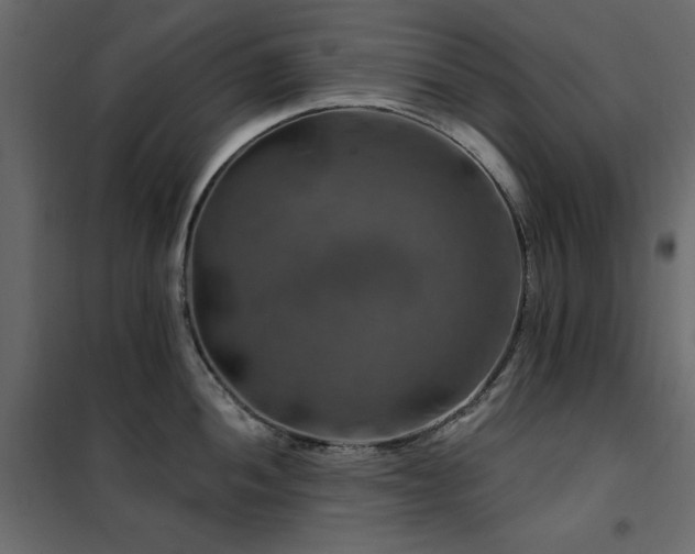 X0000102491052200808081324