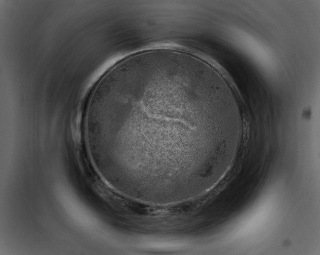 X0000102491054200808081324