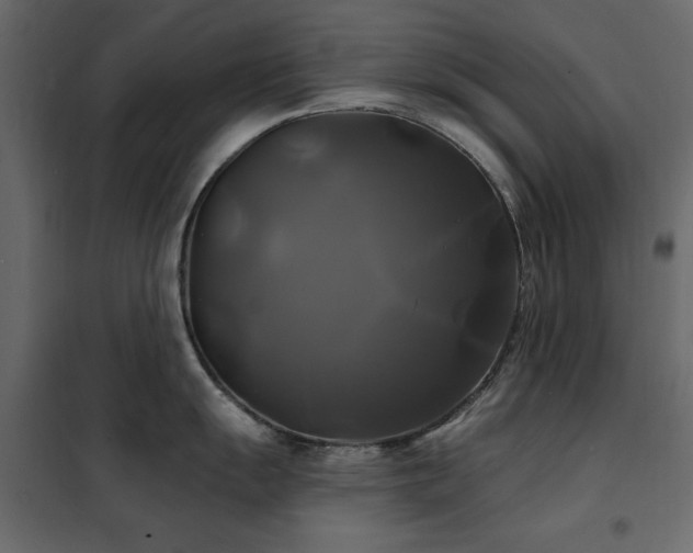 X0000102491055200808081324