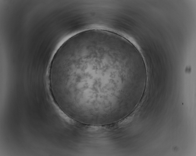 X0000102491056200808081324