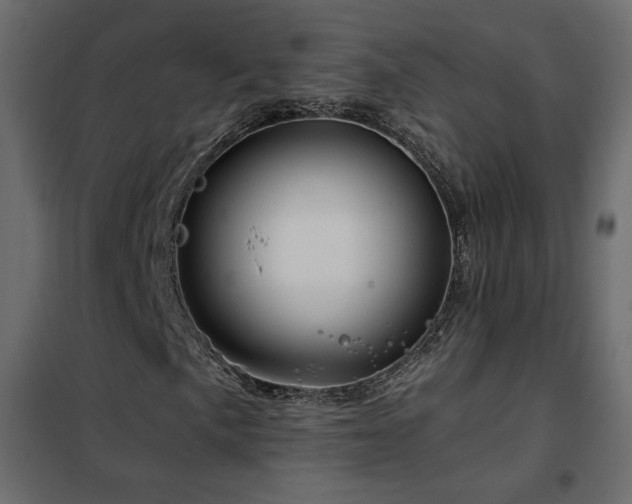 X0000102491057200808081323