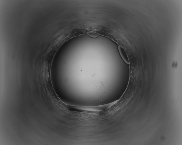 X0000102491058200808081323