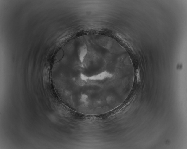 X0000102491059200808081323