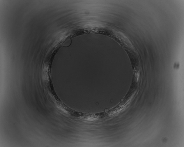 X0000102491060200808081323