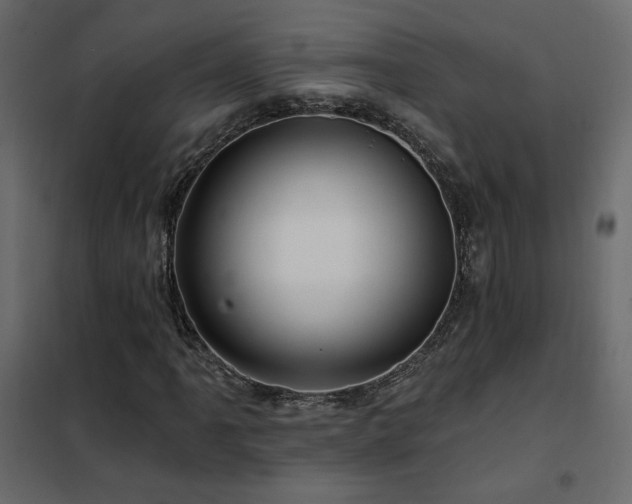 X0000102491061200808081323