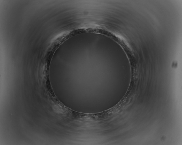 X0000102491063200808081323