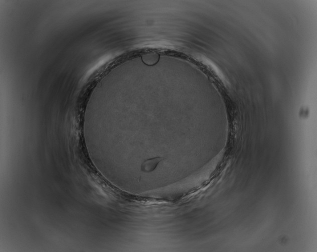 X0000102491064200808081323