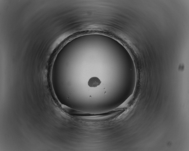 X0000102491066200808081323