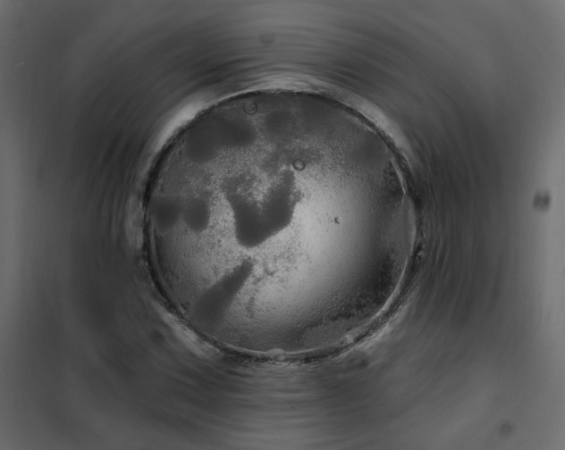 X0000102491067200808081323