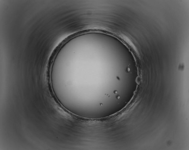 X0000102491068200808081323