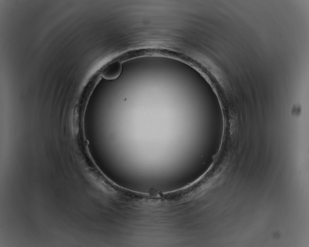 X0000102491069200808081323