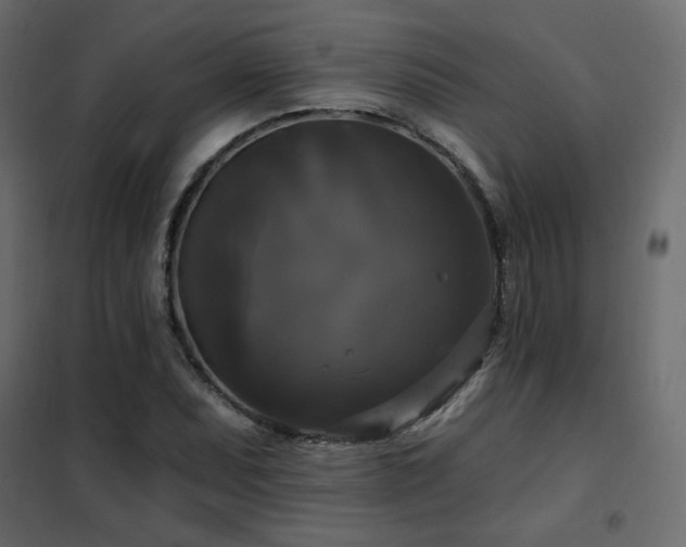 X0000102491071200808081323
