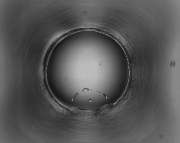X0000102491072200808081323