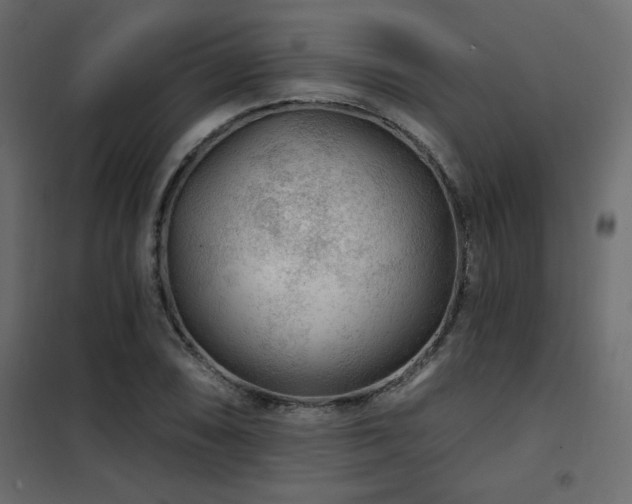 X0000102491074200808081323