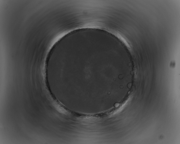 X0000102491077200808081323