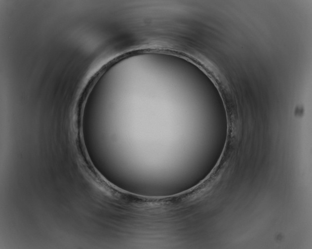 X0000102491078200808081323