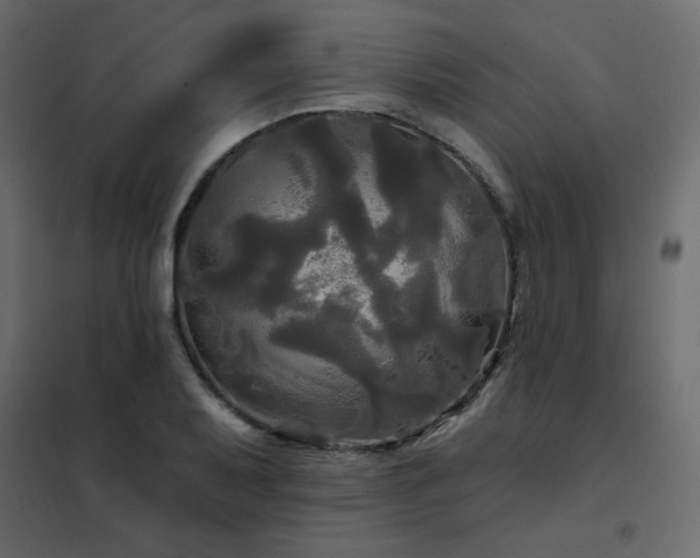 X0000102491079200808081323