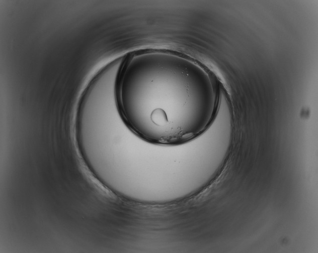 X0000102491080200808081323