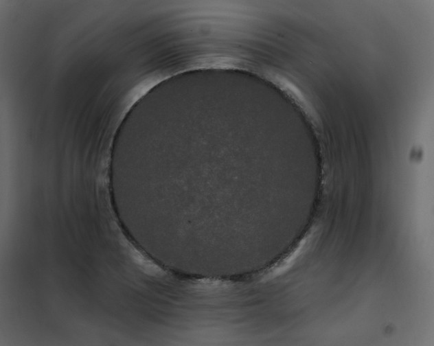 X0000102491081200808081323