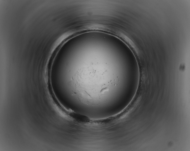 X0000102491082200808081323