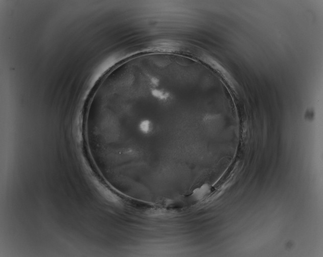 X0000102491083200808081323